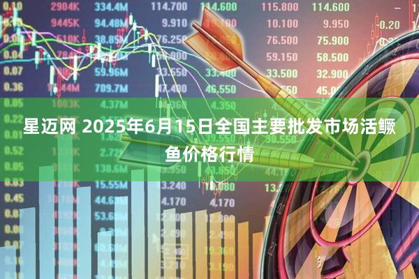 星迈网 2025年6月15日全国主要批发市场活鳜鱼价格行情