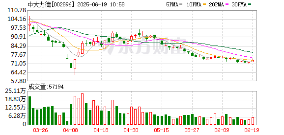 沪深策略联盟 中大力德：2024年年度权益分派实施公告