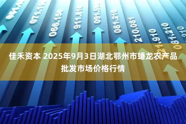 佳禾资本 2025年9月3日湖北鄂州市蟠龙农产品批发市场价格行情